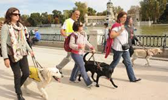 Paseando por el retiro