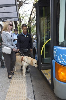 usuaria de perro guía subiendo al autobús
