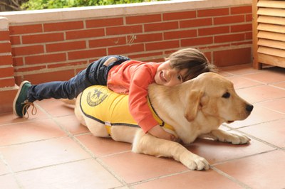Un niño jugando con un futuro perro guía
