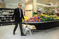 persona ciega con perro guía en el supermercado