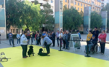 Momento de la exhibición en Reus