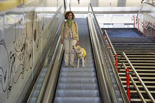 Usuaria de perro guía en escaleras mecánicas