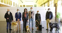 Zaragoza financiará el registro de ADN de los 22 perros guía de la ciudad