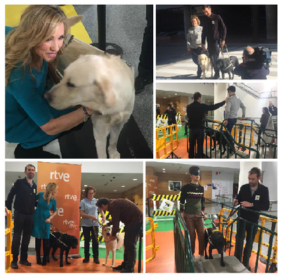 Perros guía en Torrespoña