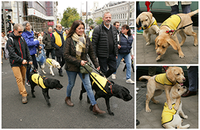 Paseo por Madrid