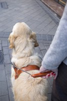 Caminando juntos