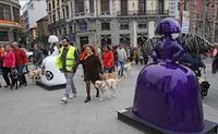 Paseo de los perros guía junto a Las Meninas en Madrid