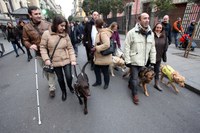 Perros guía en las 'Vueltas de San Antón'