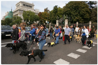 perros guía y sus usuarios por Madrid