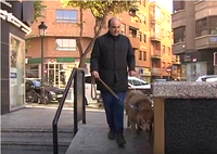 perro guía y su usuario paseando por la calle