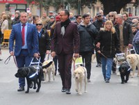 Perros guía en el desfile en la Festividad de San Antonio Abad