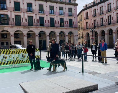 Asistentes a la exhibición de Huesca
