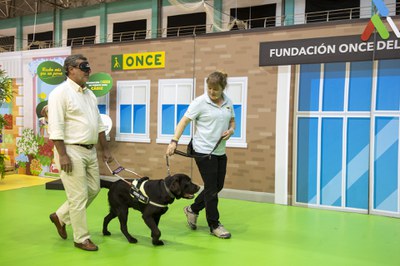 Alfonso Candón durante la realización del circuito de movilidad con un antifaz y junto a un perro guía 
