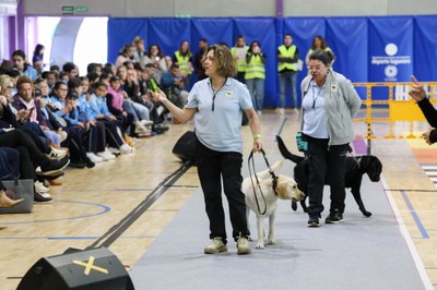 Natalia Romero y Eva Povedano acompañadas por los perros guía Queen y Zyan