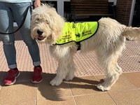 Enui, labraniche, con nuevo chaleco donado por Dukier
