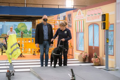 El concejal de Salud y Deportes, Enrique Martín, con un antifaz, guiado por uno de los perros guía y una instructora El concejal de Salud y Deportes, Enrique Martín, con un antifaz, guiado por uno de los perros guía y una instructora