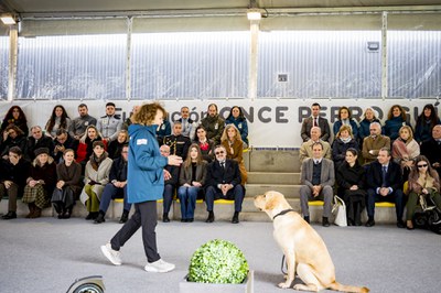 Exhibición ejercicio de obediencia