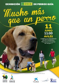 Cartel exhibición perros guía en Avilés (Asturias)
