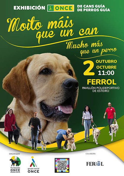 Cartel Exhibición Perros Guía en Ferrol