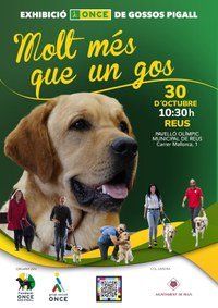 Cartel Exhibición perros guía en Reus (Tarragona) Cartel Exhibición perros guía en Reus (Tarragona)