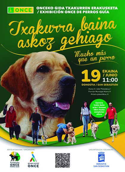 Imagen de noticia: Exhibición de perros guía de la ONCE en San Sebastián, bajo el lema 'Mucho más que un perro'.
ONCEren gida-txakurren erakustaldia Donostian, 'Txakur bat baino askoz gehiago' lelopean Invitación exhibición perros guía en San Sebastián