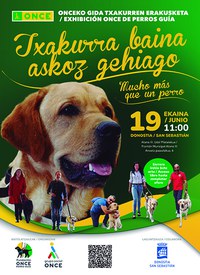 Invitación exhibición perros guía en San Sebastián