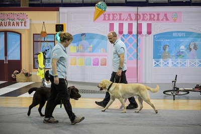 Los instructores de movilidad Cristóbal Jurado y Elena Molina, junto a Xuljan y Potter, perros guía que participaron en la exhibición