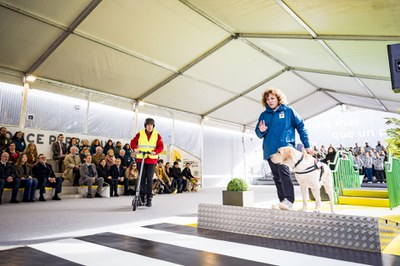 Exhibición rampa con bordillo y patinete