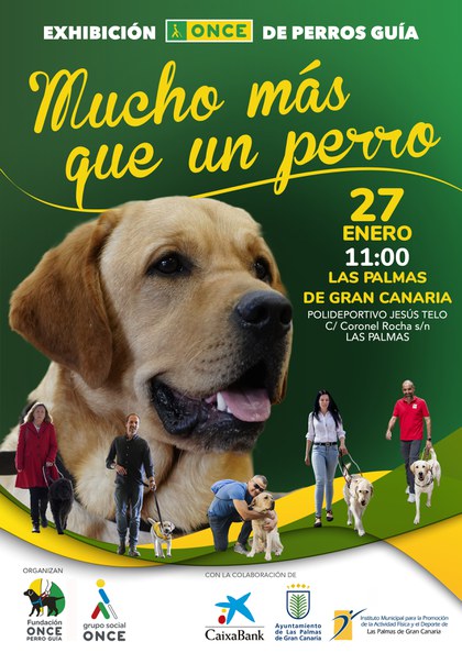 Cartel exhibición perros guía en Las Palmas