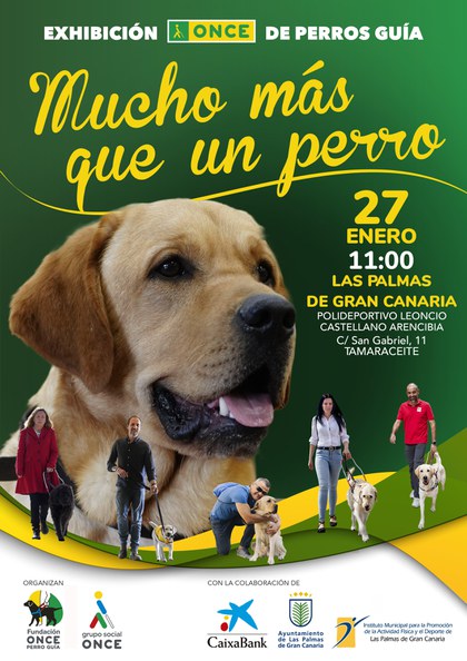 Cartel exhibición perros guía en Las Palmas