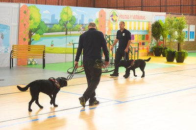 Exhibición FOPG en Málaga Exhibición FOPG en Málaga