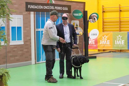 Foto de familia de los participantes en la exhibición de la FOPG en Mallorca