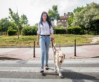 Usuaria de perro guía cruzando una calle Usuaria de perro guía cruzando una calle