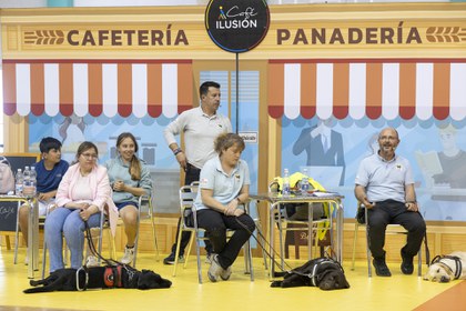 Momento de la exhibición de perros guía en Cádiz