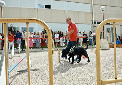 Instructor de movilidad con perro guía en plena exhibición