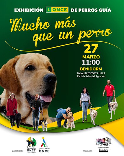 Cartel de la exhibición de perros guía en Benidorm