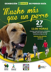 Cartel de la exhibición de perros guía en Molina de Segura (Murcia) Cartel de la exhibición de perros guía en Molina de Segura (Murcia)