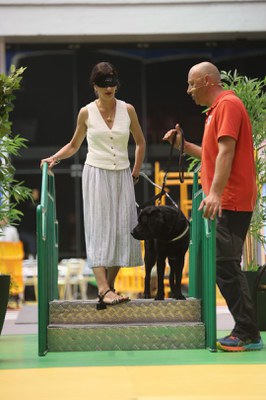 Noemí López sube una escalera, provista de antifaz, con un perro guía