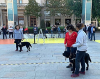 instructoes junto a los perros guía y una usuaria durante la exhibición en Reus