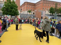 Patricia Alcántara y Elisenda Stewart realizan la exhibición en Teruel