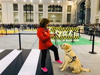 Exhibición de perros guía en el Palacio de Cibeles