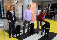 Periodistas de RTVE junto a los perros guía de la ONCE