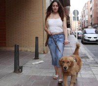 Perro de asistencia junto a su usuaria Perro de asistencia junto a su usuaria