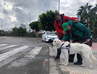 Paco González, un vendedor de cupones de la ONCE que es sordociego junto a Olay su perro guía
