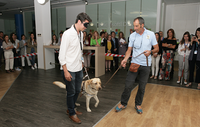 exhibición perros guia en Microsoft