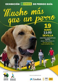 Cartel exhibición perros guía en Sevilla
