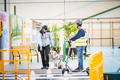 Una de las adiestradoras, con uno de los futuros perros guía, durante la exhibición