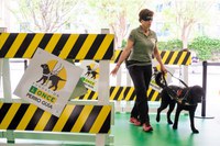 Instructora de movilidad en la exhibición de perros guía en Sevilla