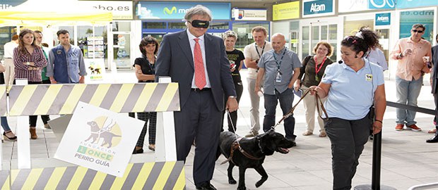 Exhibición de perro guía en la sede de Telefónica