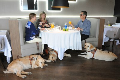 Tres usuarios con sus perros desayunan en una cafetería